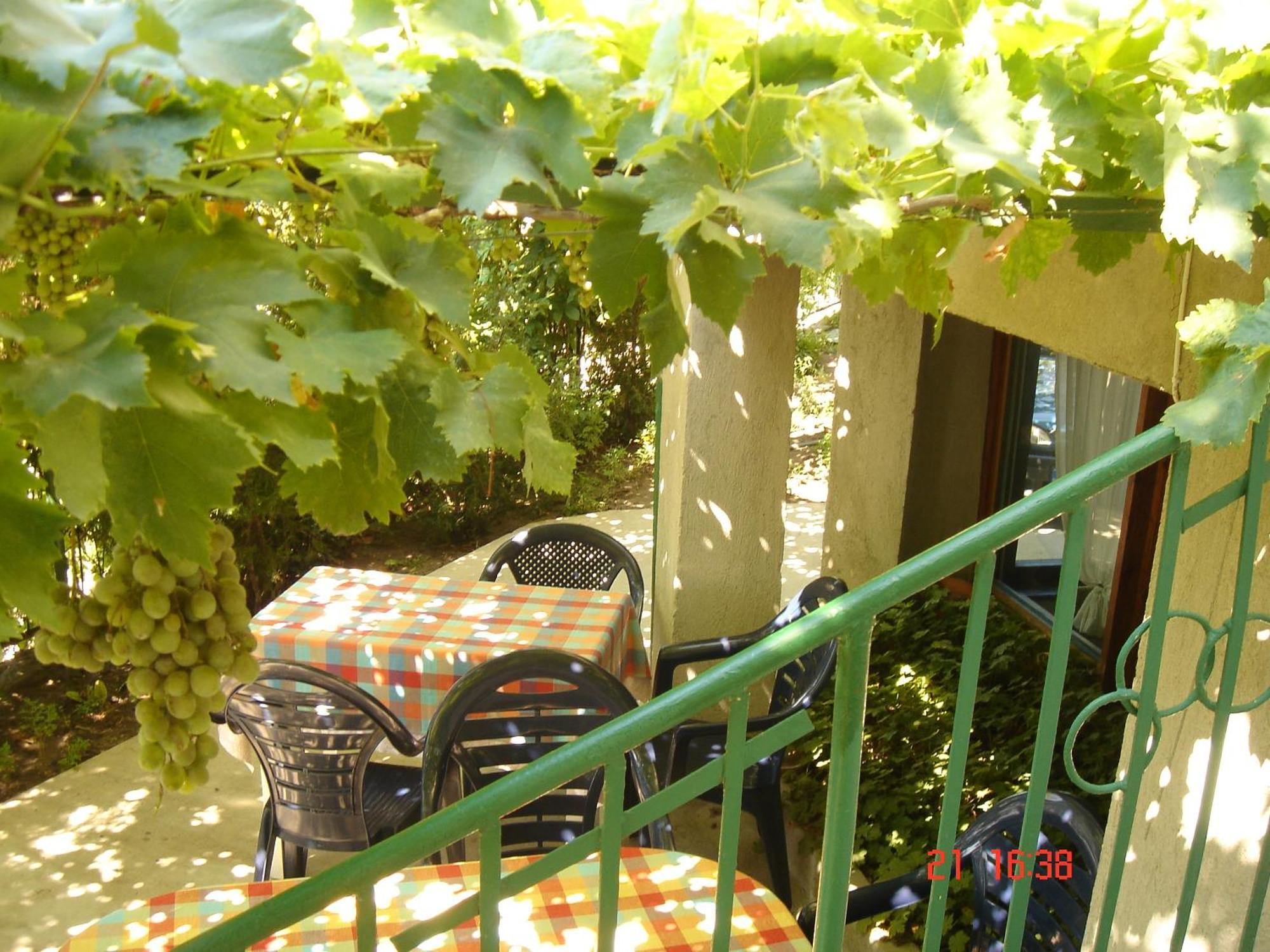 Villa Elfi Sables d'or Extérieur photo