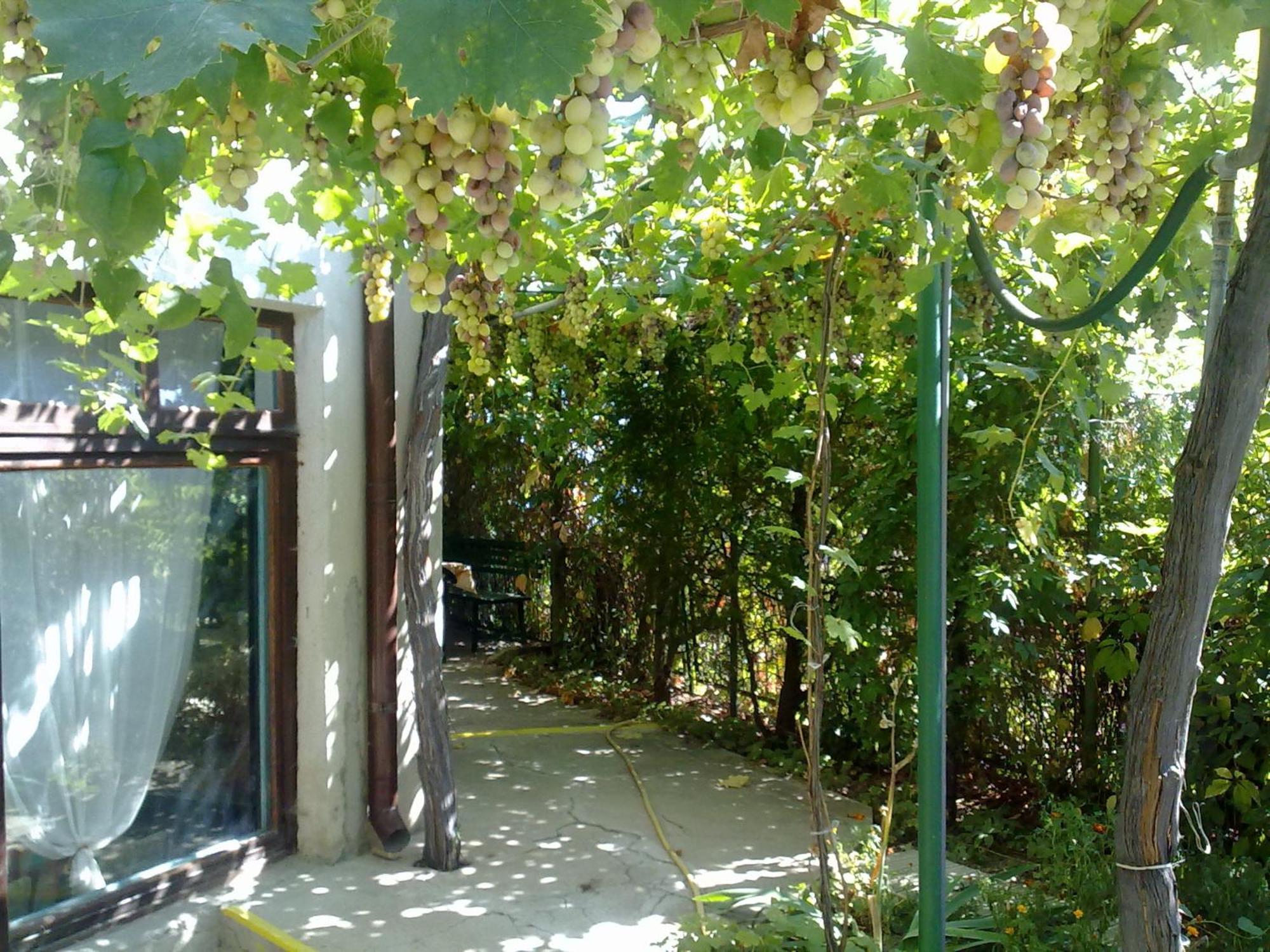 Villa Elfi Sables d'or Extérieur photo